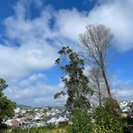Bán đất view 400m² trung tâm Đà Lạt 13 tỷ - Ảnh thu nhỏ 2