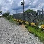 Bán nhà vườn 1000m² 2 phòng ngủ tại Thủ Thừa, Long An - Ảnh thu nhỏ 1