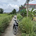 Bán nền đất 250m2 mặt tiền đường Lộ 824, Tây Ninh, 1.9 tỷ - Ảnh thu nhỏ 2