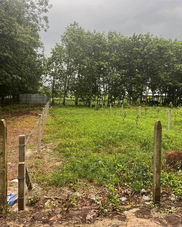 Bán đất 383,8m2 ngang 8m, 100m thổ cư tại Phường Gia Lộc, Trảng Bàng, Tây Ninh