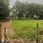 Bán đất 383,8m2 ngang 8m, 100m thổ cư tại Phường Gia Lộc, Trảng Bàng, Tây Ninh - Ảnh thu nhỏ 1