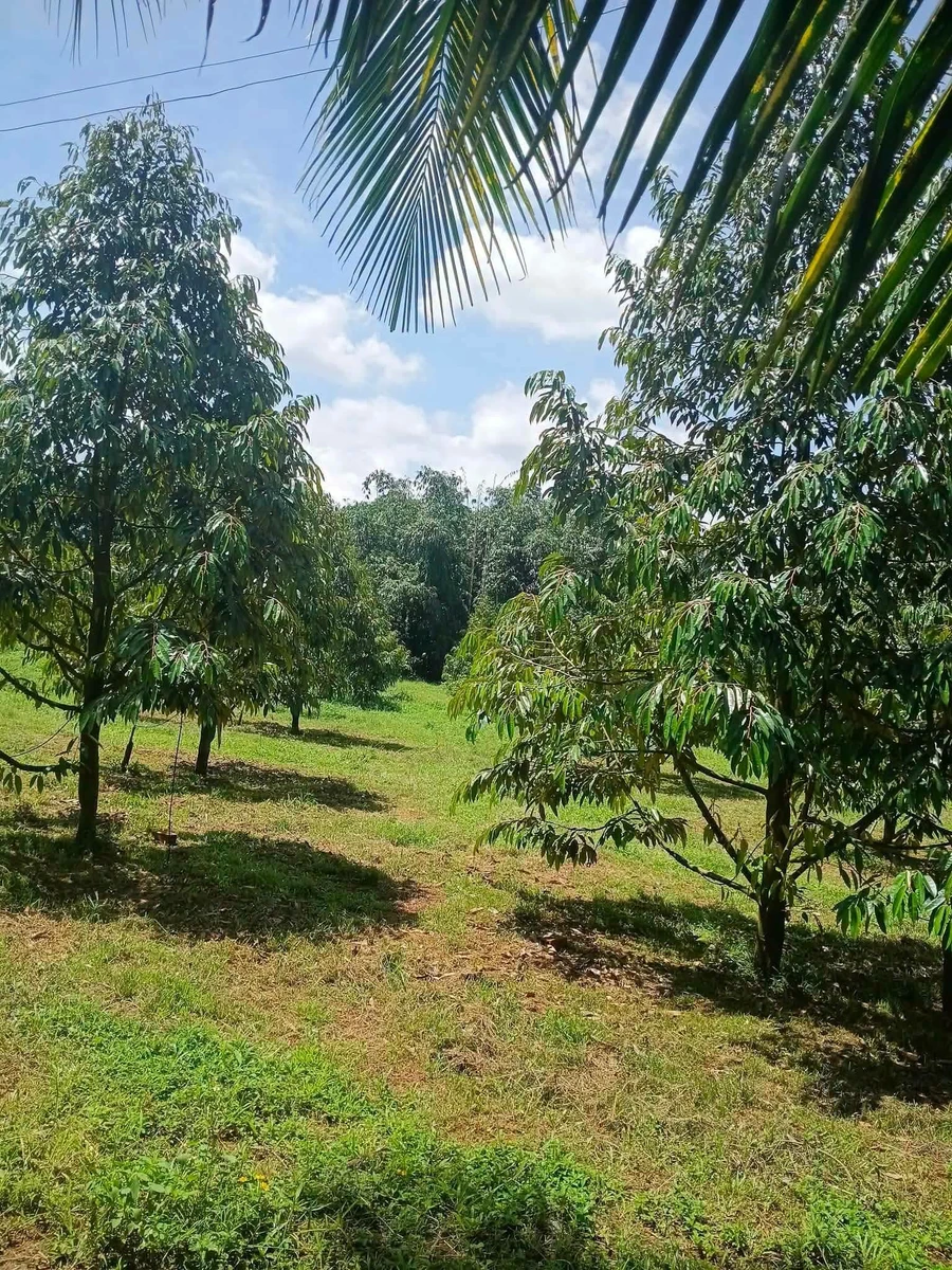 Bán đất nông doanh 6.607m² Long Khánh, Đồng Nai - 5 tỷ - Ảnh thu nhỏ 4