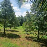 Bán đất nông doanh 6.607m² Long Khánh, Đồng Nai - 5 tỷ - Ảnh thu nhỏ 4