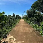 Bán đất 5x43m thổ cư 100% Hàn Thuyên Bình Tân - Ảnh thu nhỏ 1