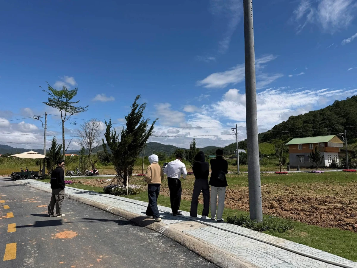 Bán đất Định An Đà Lạt 100m2 giá 1 tỷ 230 - Ảnh thu nhỏ 3