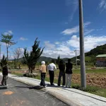Bán đất Định An Đà Lạt 100m2 giá 1 tỷ 230 - Ảnh thu nhỏ 3