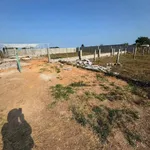 Bán đất 110m² sổ riêng gần Phan Thiết 620 triệu - Ảnh thu nhỏ 2