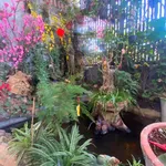 Bán nhà cấp 4, 3 phòng ngủ, 190m² Y Moan, Buôn Ma Thuột - Ảnh thu nhỏ 3