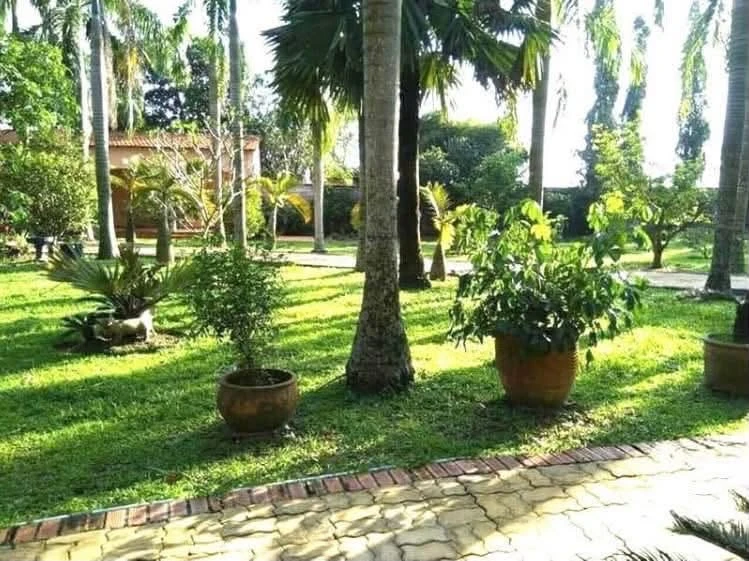 Bán 2 biệt thự sân vườn 4.000m2 có hồ bơi, Nhuận Đức, Củ Chi, giá 17,1 tỷ