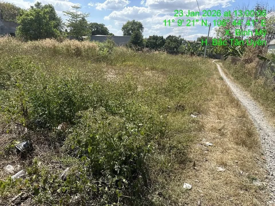 Bán đất Bình Mỹ 125m² 1 tỷ 1 Tân Bình - Ảnh thu nhỏ 4