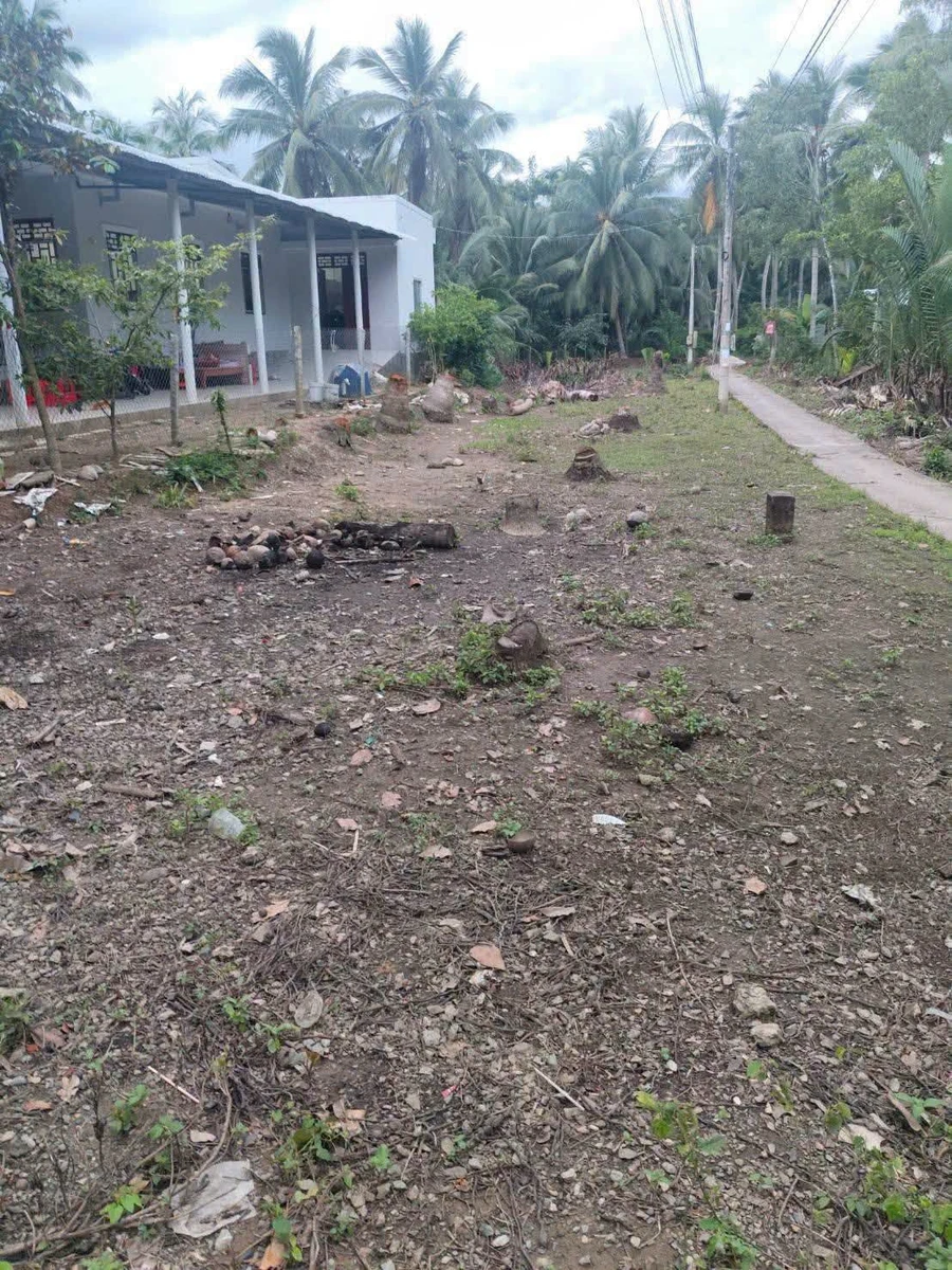 Bán nền mặt tiền 658m² Lộ Nhựa An Bình, Đồng Khởi, 920 triệu - Ảnh thu nhỏ 3