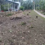 Bán nền mặt tiền 658m² Lộ Nhựa An Bình, Đồng Khởi, 920 triệu - Ảnh thu nhỏ 3