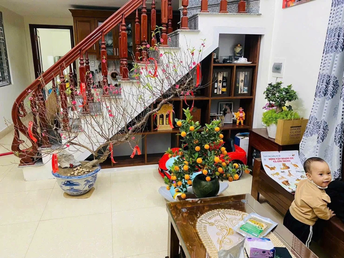 Bán nhà 1 tầng 60m2 ngõ ô tô Bình Lộc - Ảnh thu nhỏ 2
