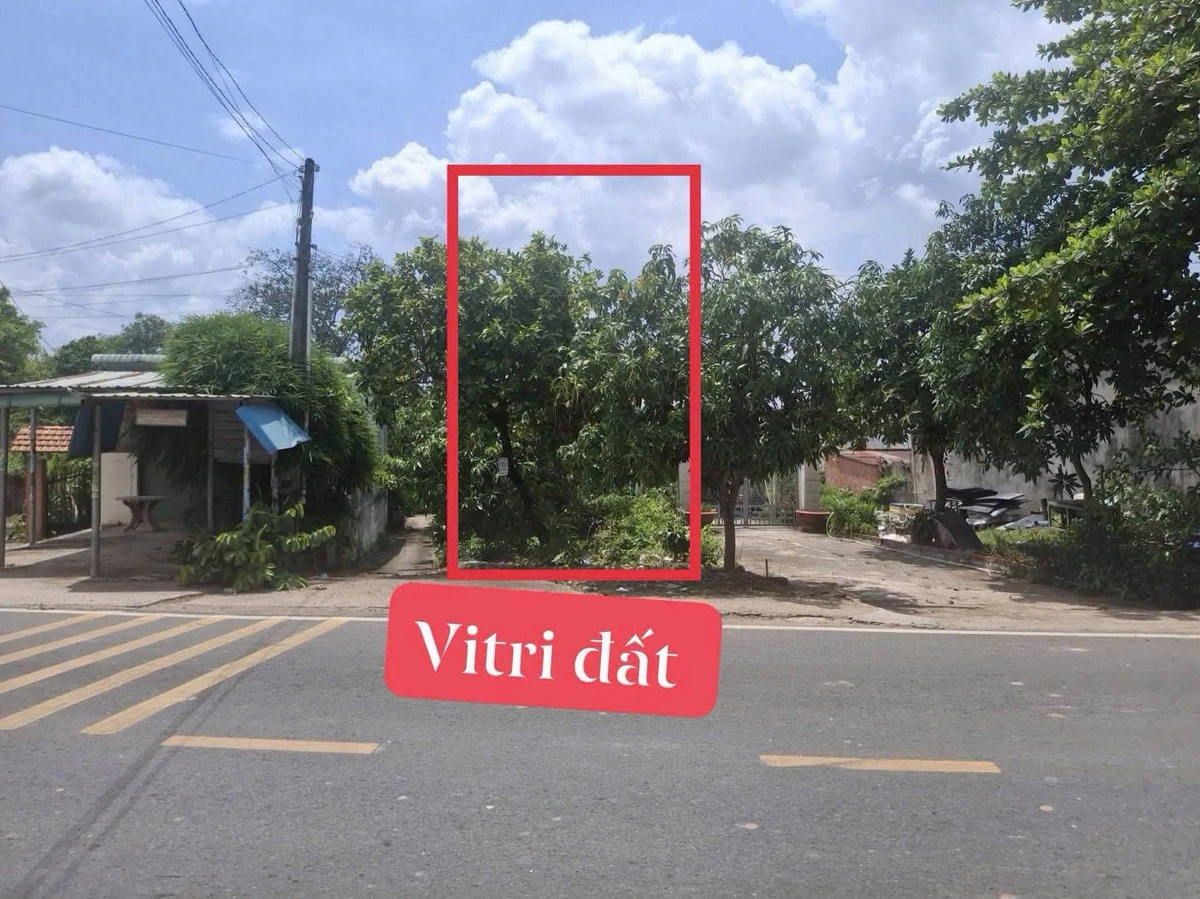 Bán đất 221,2m2 mặt tiền đường tỉnh 749A, Long Nguyên, Bàu Bàng, Bình Dương - Ảnh 1