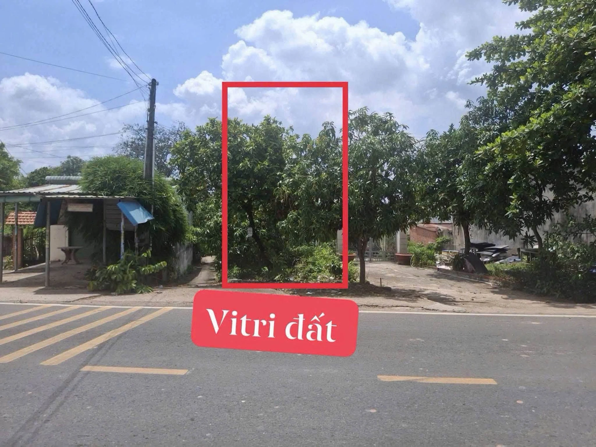 Bán đất 221,2m2 mặt tiền đường tỉnh 749A, Long Nguyên, Bàu Bàng, Bình Dương - Ảnh 1