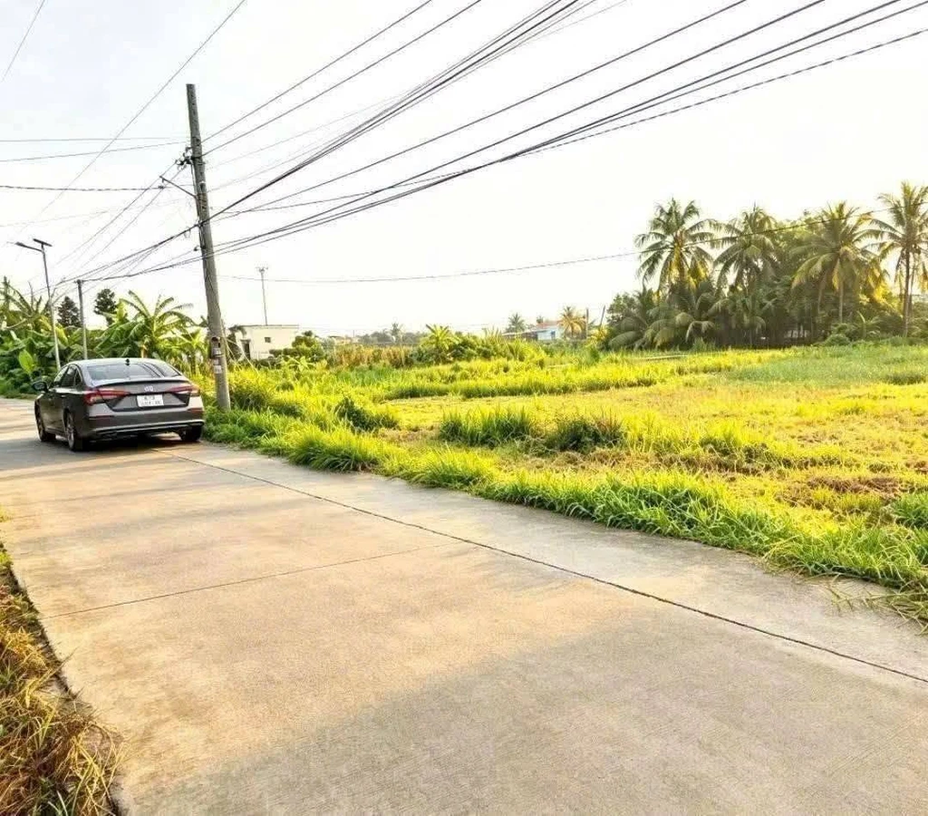 Bán đất 1500m2 hai mặt tiền Long An giá 750tr/1000m2 - Ảnh thu nhỏ 3