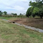 Bán đất 1000m² tại Hàm Liêm, Bình Thuận - 550 triệu - Ảnh thu nhỏ 3