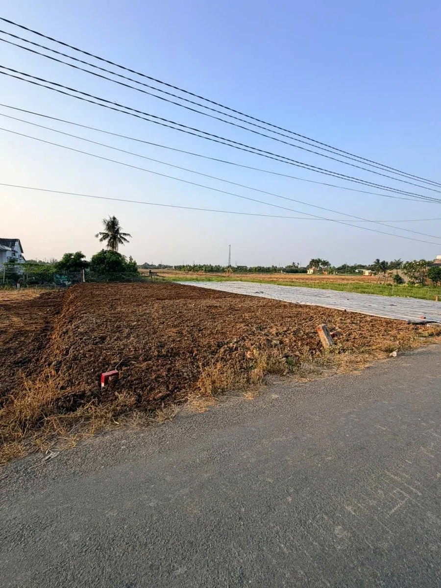 Bán gấp lô đất mặt tiền 135m2 Bến Lức Long An - Ảnh thu nhỏ 3