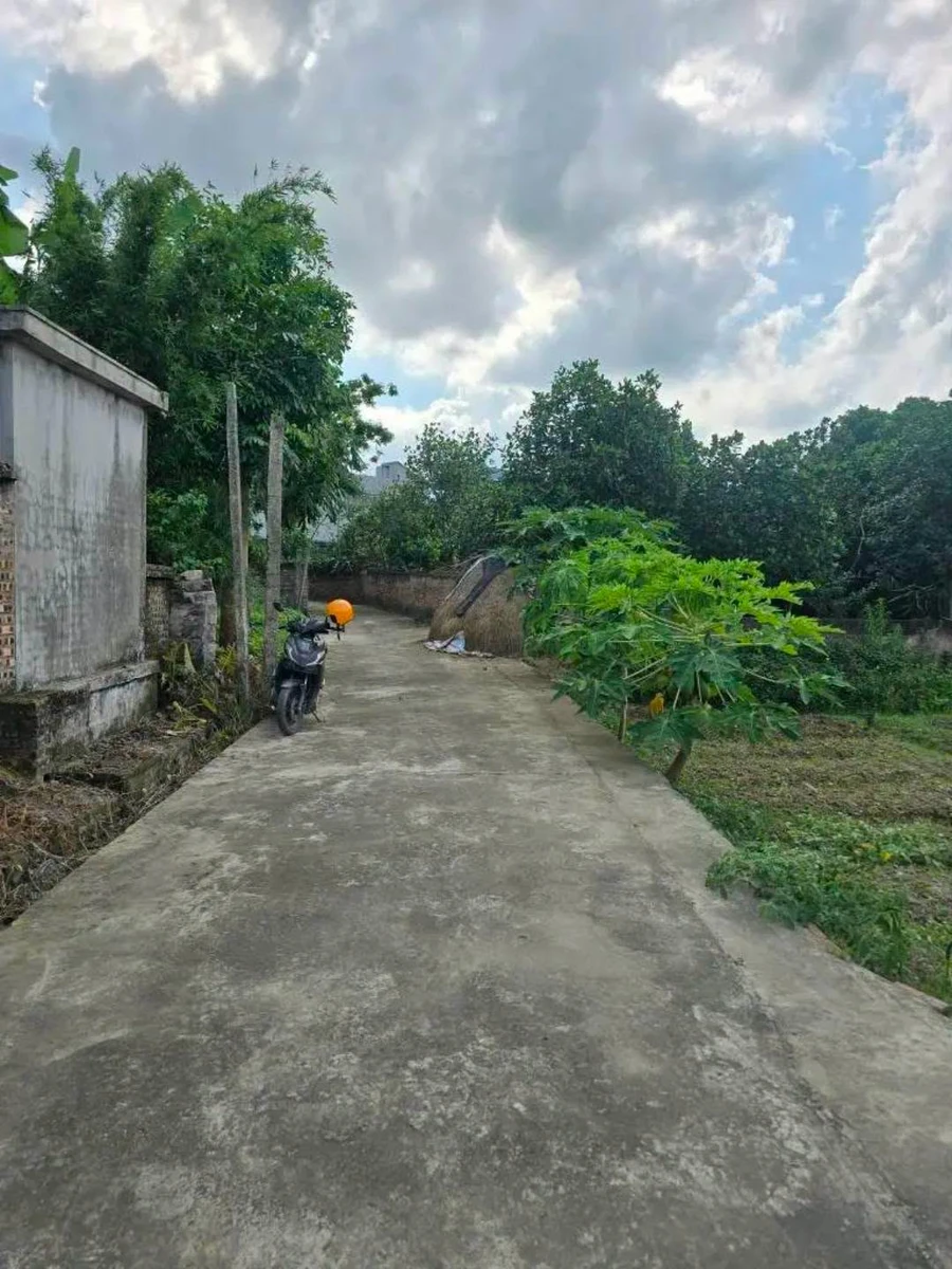 Bán đất 73m² Cẩm Giàng, Hà Nội, giá 600 triệu - Ảnh thu nhỏ 3