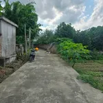 Bán đất 73m² Cẩm Giàng, Hà Nội, giá 600 triệu - Ảnh thu nhỏ 3