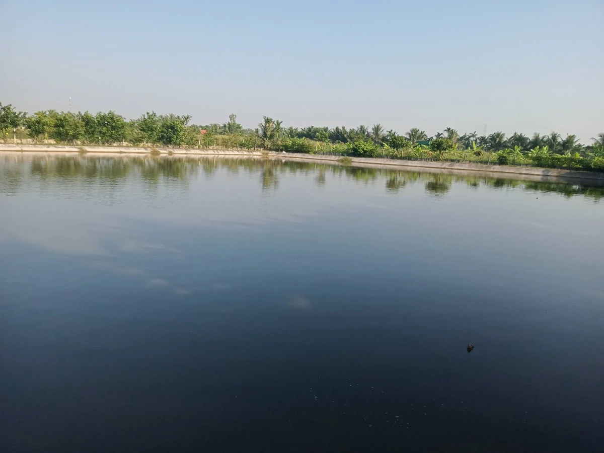 Bán nhà vườn 3.600 m² Kiến Thụy, Hải Phòng - Ảnh thu nhỏ 4