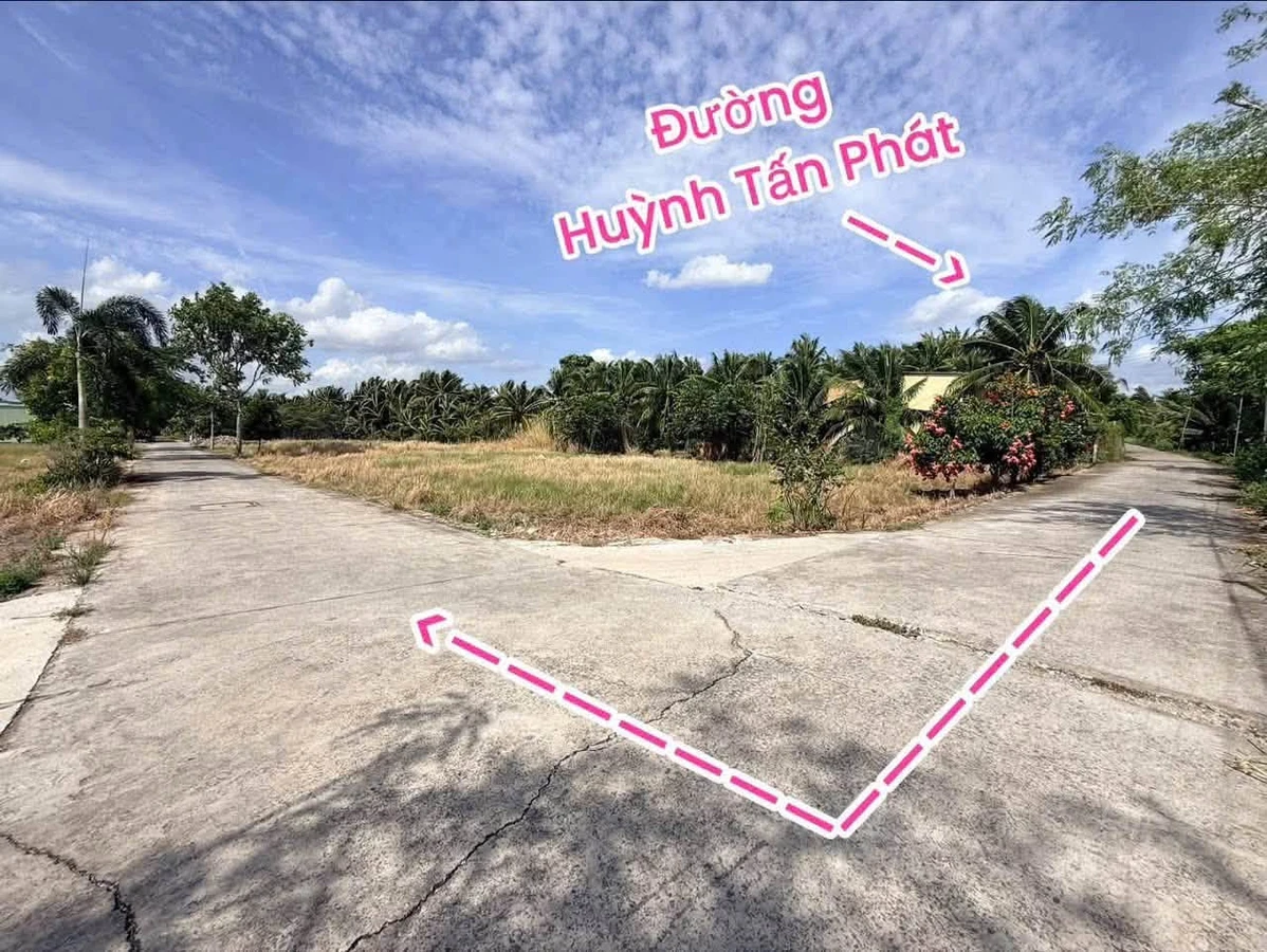 Bán đất 745.6m² tại xã Phú Hưng, Bến Tre - Ảnh thu nhỏ 2