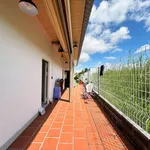 Bán nhà vườn 306m² 2PN Ngô Thời Nhiệm An Bình - Ảnh thu nhỏ 4
