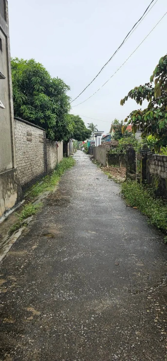 Bán lô đất 188.6m² Diễn Hùng, Nghệ An, 1 tỷ 2 - Ảnh thu nhỏ 2