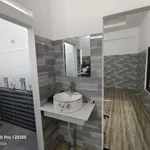 Bán nhà vườn 8m x 32m, 2PN, 2WC tại Mỹ Hạnh Bắc - 2.9 tỷ - Ảnh thu nhỏ 5