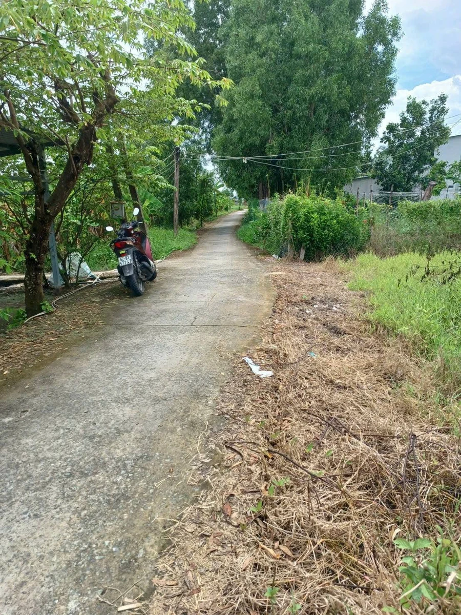 Bán đất thổ cư 234m² mặt tiền Ấp Bào Dài, Châu Thành, Long An - Ảnh 1