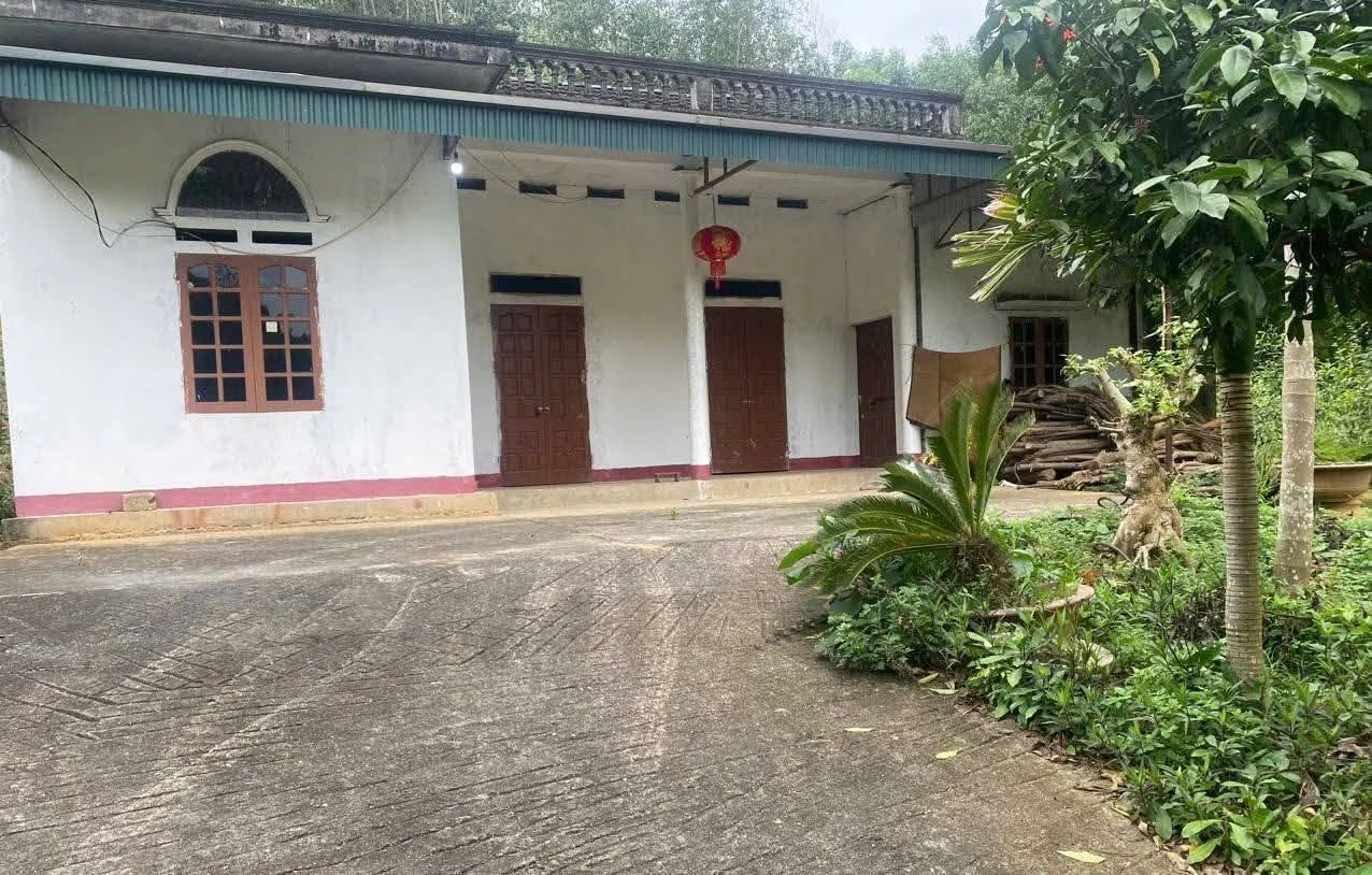 Bán đất Sơn Dương Tuyên Quang 7.500m² hơn 1 tỷ - Ảnh 1