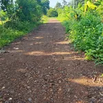 Bán đất vườn 500m² có thổ cư ở Long Khánh, Đồng Nai - Ảnh thu nhỏ 2