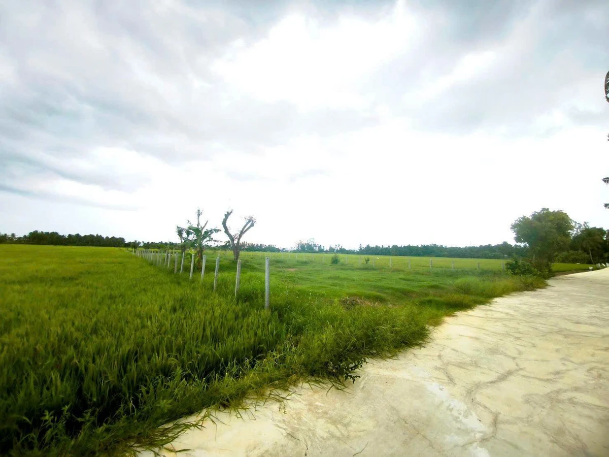 Bán đất 2.000m² đường 3/2 nối dài, Rạch Giá - Ảnh thu nhỏ 2