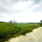 Bán đất 2.000m² đường 3/2 nối dài, Rạch Giá - Ảnh thu nhỏ 2