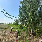 Bán đất vườn 1.369m2 mặt tiền QL N2, Bến Lức, Long An - Ảnh thu nhỏ 4