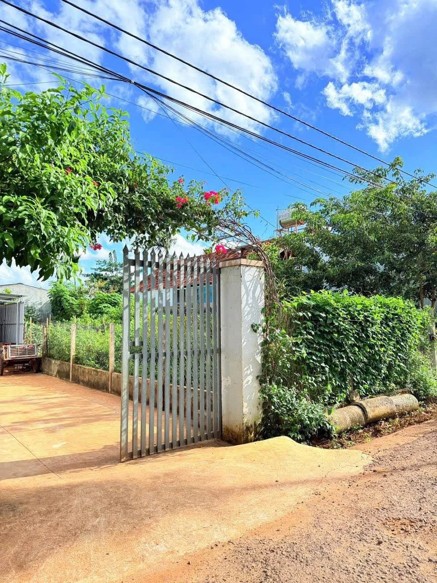 Bán lô đất 6x28m (168m²) tại Buôn Jư, Phường Tân An, giá 2 tỷ 290 - Ảnh 1