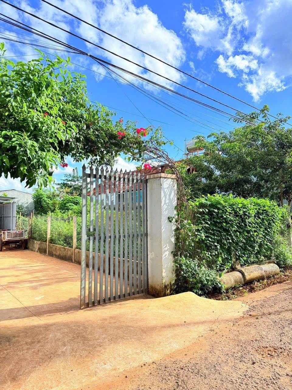 Bán lô đất 6x28m (168m²) tại Buôn Jư, Phường Tân An, giá 2 tỷ 290 - Ảnh 1