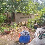 Bán đất 43m² Phú Cường, Bình Dương, 1 tỷ 250 triệu - Ảnh thu nhỏ 1