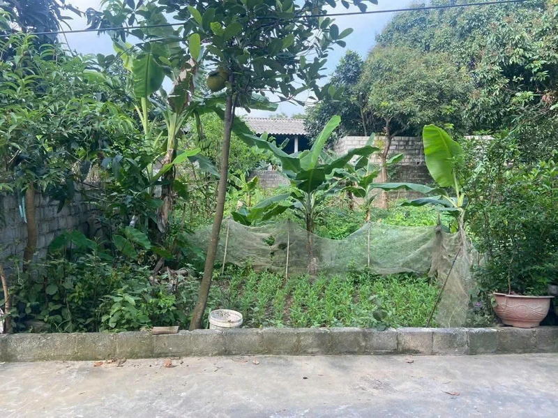 Bán đất 104m² mặt tiền 8m tại Xuân Mai, Hà Nội 2 tỷ