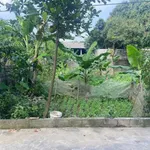 Bán đất 104m² mặt tiền 8m tại Xuân Mai, Hà Nội 2 tỷ - Ảnh thu nhỏ 1