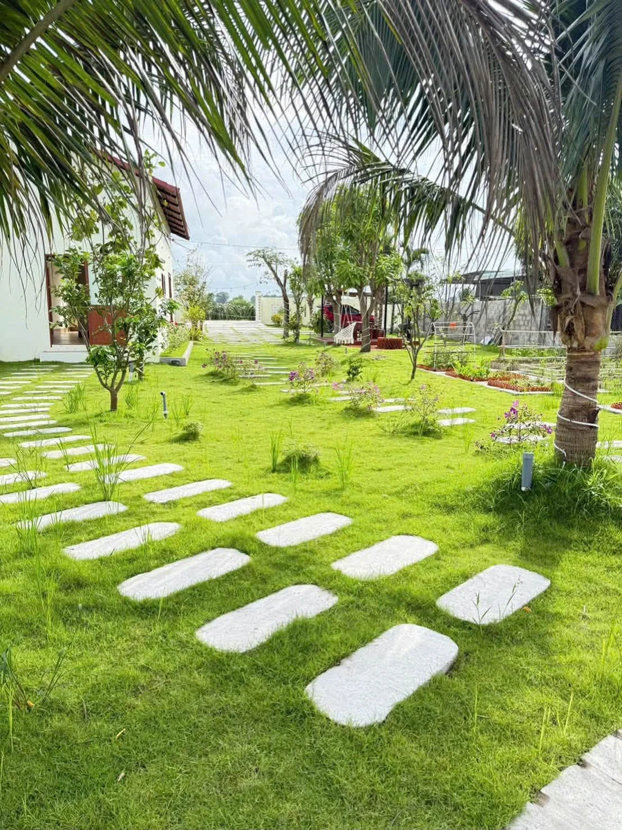 Nhà vườn 1 phòng ngủ 1.600m² Hàm Chính 1 tỷ 790 - Ảnh thu nhỏ 4