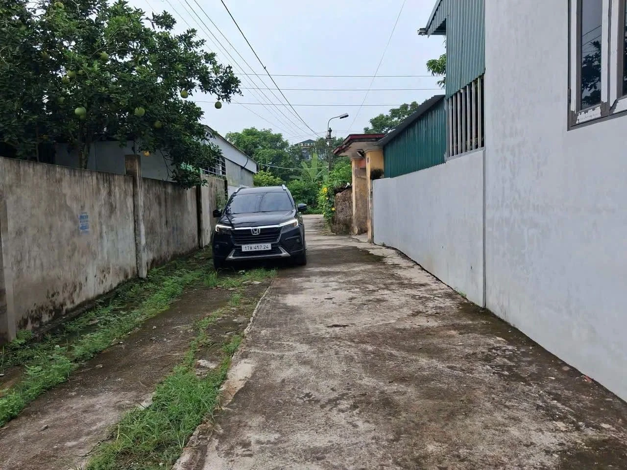 Bán đất Kiến Xương Thái Bình 80m² 800 triệu - Ảnh 1