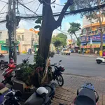 Bán nhà 2 căn 110m² mặt tiền Nam Kì Khởi Nghĩa, 28 tỷ - Ảnh thu nhỏ 1