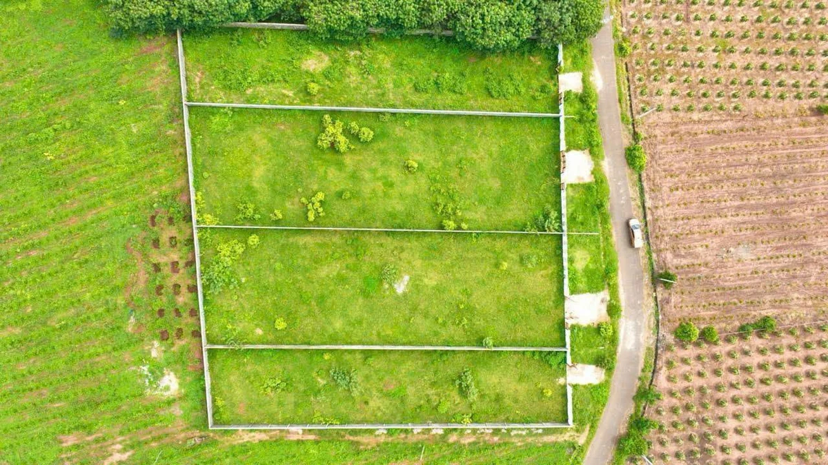 Bán đất 1500m2 Bưng Riềng Xuyên Mộc Bà Rịa - Vũng Tàu - Ảnh thu nhỏ 2