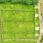 Bán đất 1500m2 Bưng Riềng Xuyên Mộc Bà Rịa - Vũng Tàu - Ảnh thu nhỏ 2