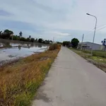 Bán 11.500m² đất lúa mặt tiền kênh Bình Chánh - Ảnh thu nhỏ 1