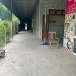 Cho thuê nhà nguyên căn 300m² 3 phòng ngủ Hội Nghĩa - Ảnh thu nhỏ 4