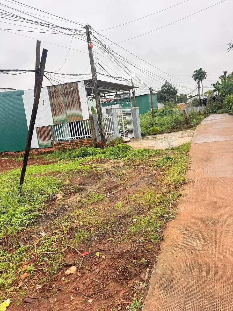Bán đất nông nghiệp 300m² Nam Gia Nghĩa, Cần Giờ - Ảnh thu nhỏ 3