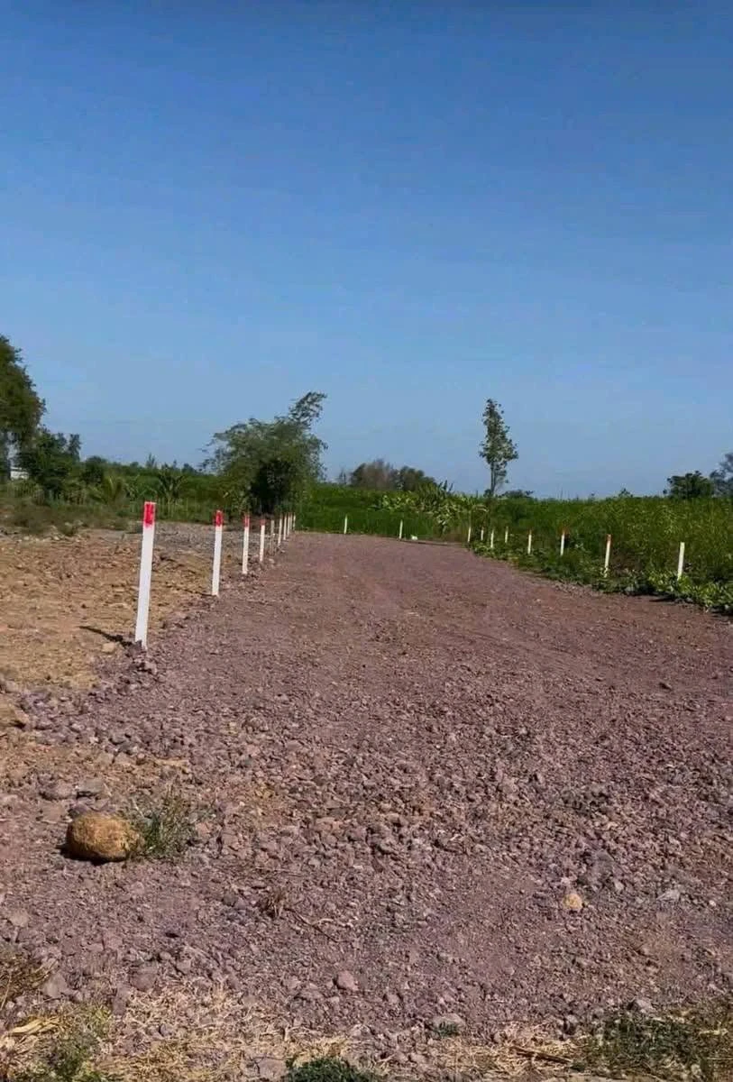 Bán đất 1000m2 kế bên KCN Đất Đỏ, BRVT, giá 1.65 tỷ - Ảnh thu nhỏ 2