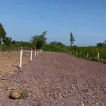 Bán đất 1000m2 kế bên KCN Đất Đỏ, BRVT, giá 1.65 tỷ - Ảnh thu nhỏ 2
